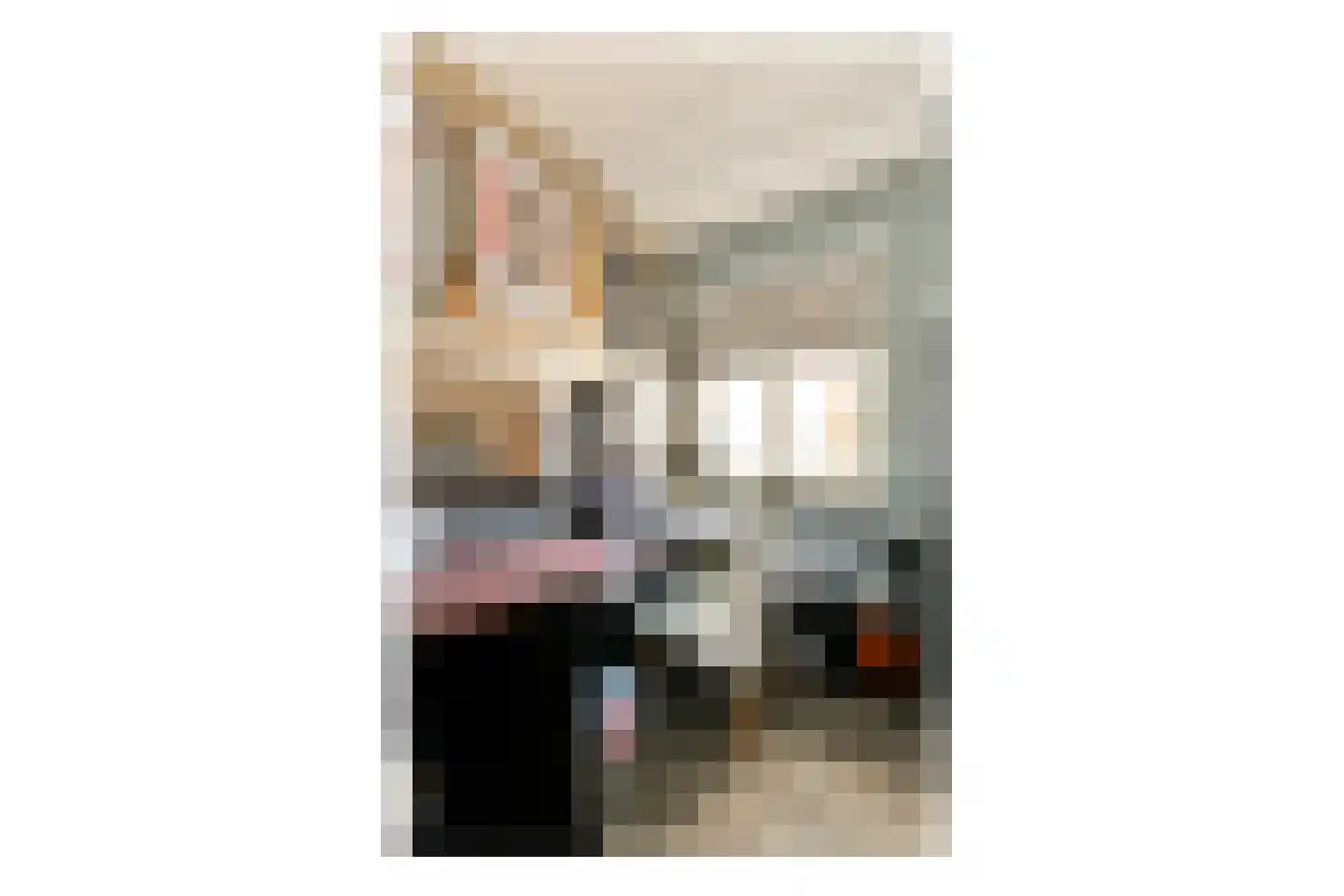 Westerweg 120 Alkmaar thumbnail 17