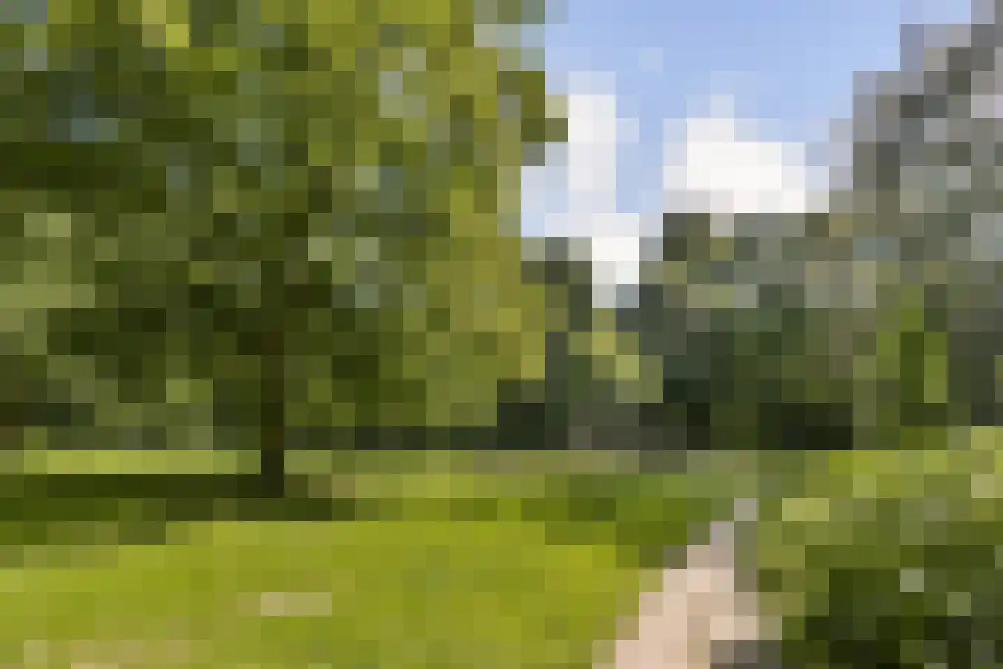 Westerweg 120 Alkmaar thumbnail 21