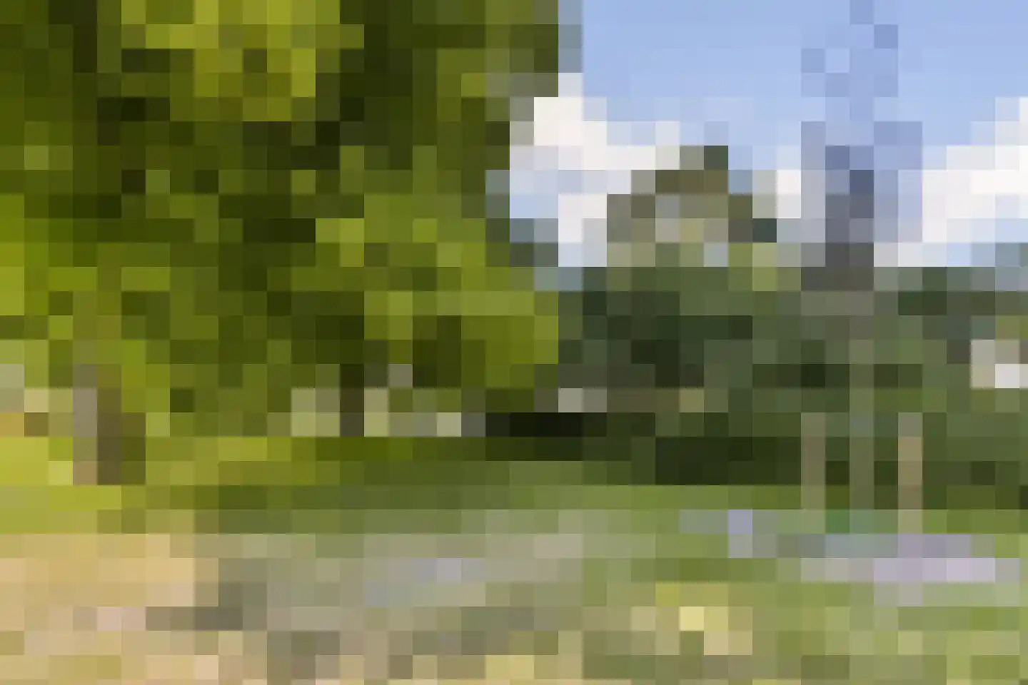 Westerweg 120 Alkmaar thumbnail 22