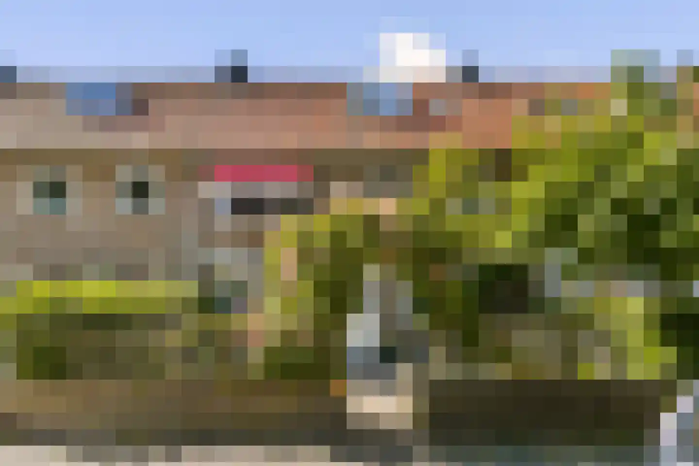 Westerweg 120 Alkmaar thumbnail 4