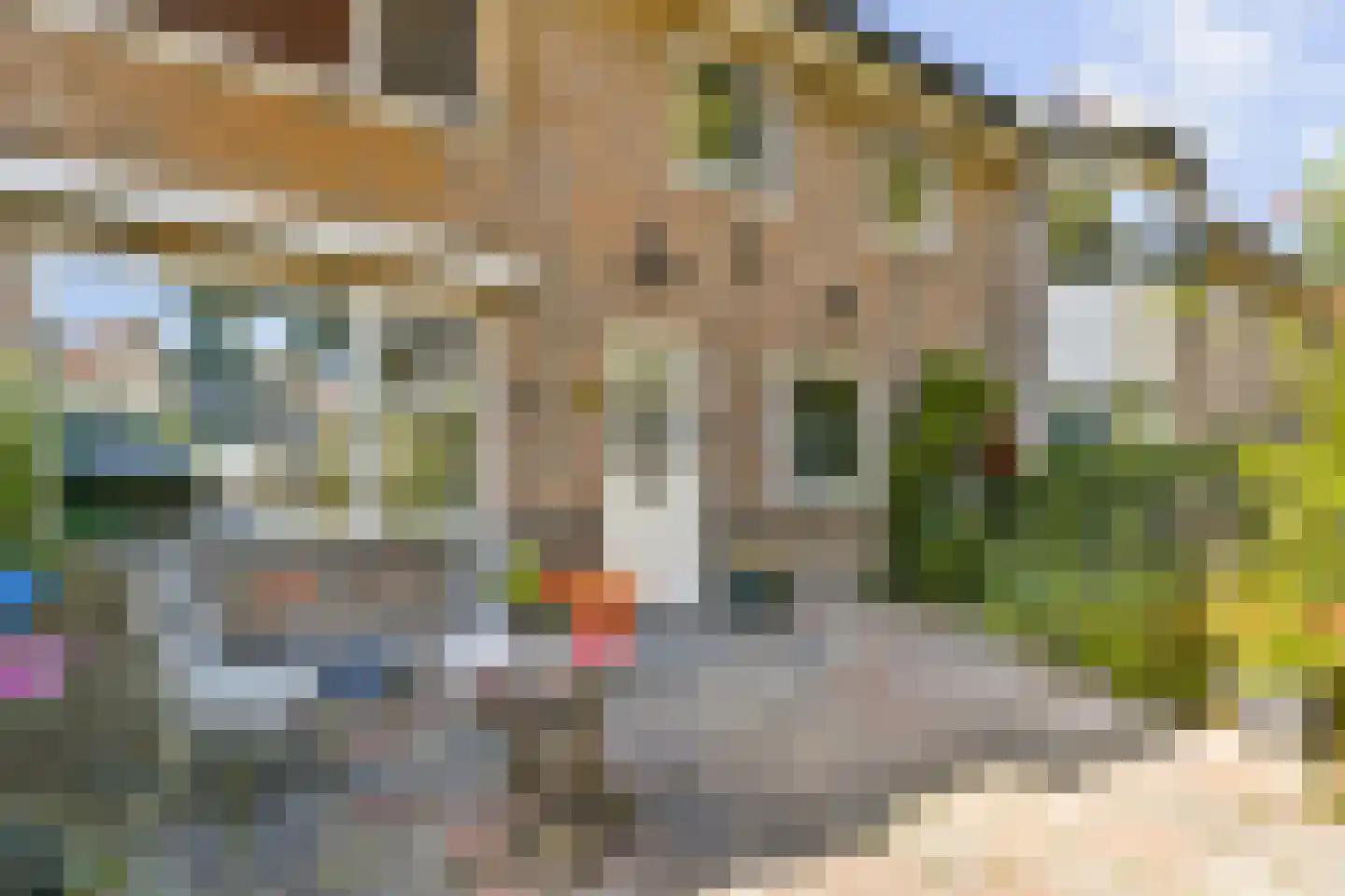 Westerweg 120 Alkmaar thumbnail 5