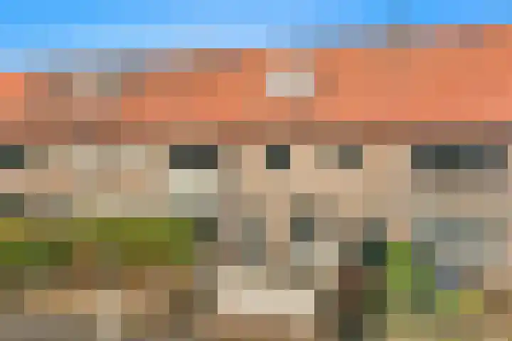 Westerweg 124 Alkmaar thumbnail 32