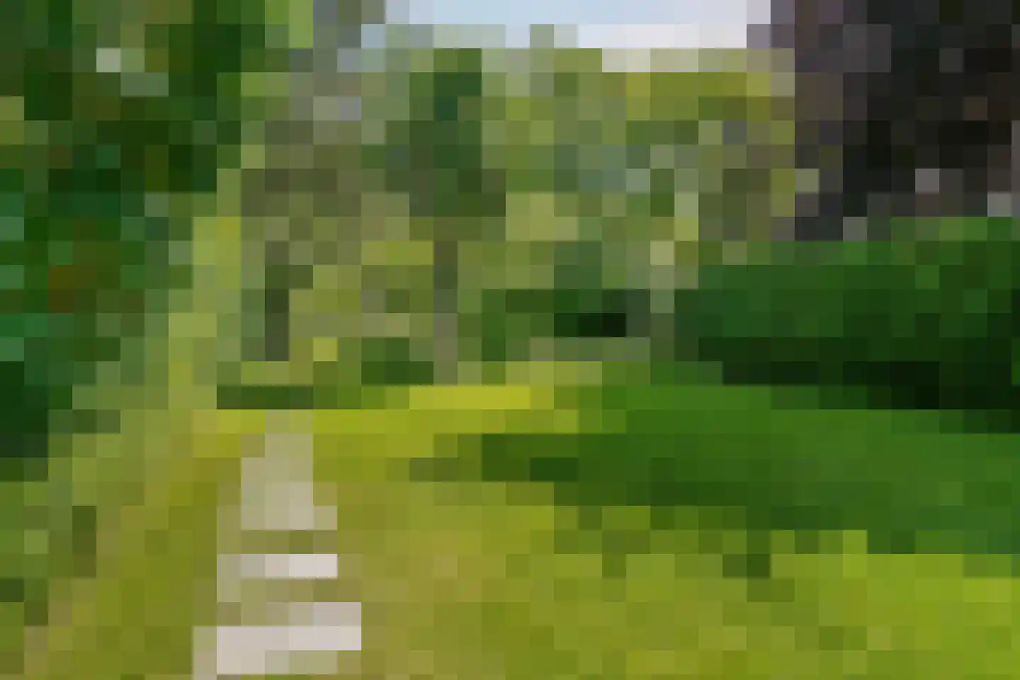 Westerweg 124 Heiloo thumbnail 4