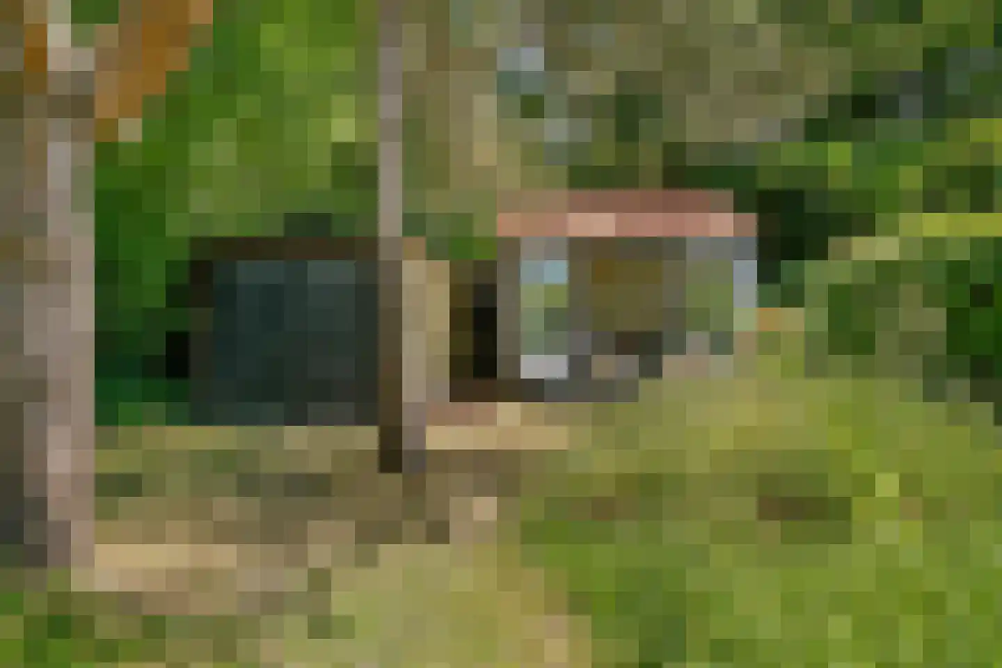Westerweg 124 Heiloo thumbnail 41
