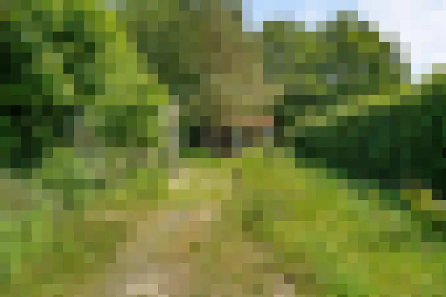 Westerweg 124 Heiloo thumbnail 59