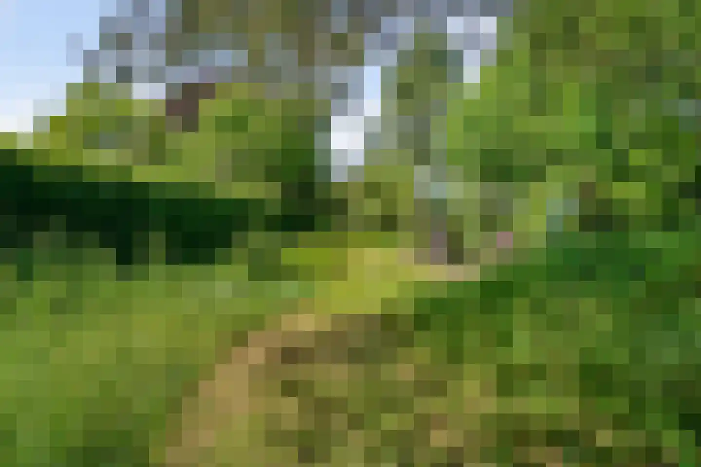 Westerweg 124 Heiloo thumbnail 60