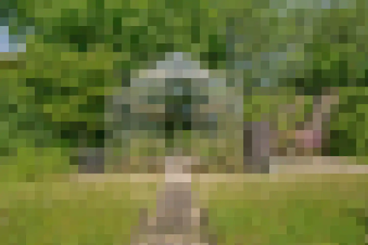 Westerweg 124 Heiloo thumbnail 61