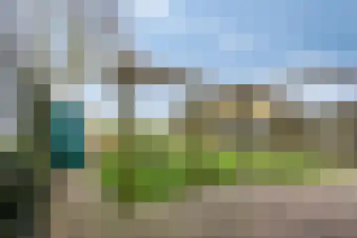 Westerweg 14 Akersloot thumbnail 26