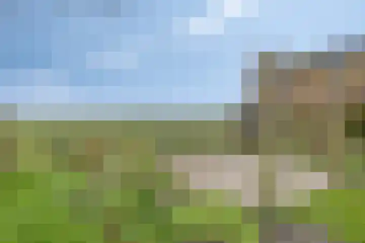 Westerweg 14 Akersloot thumbnail 27