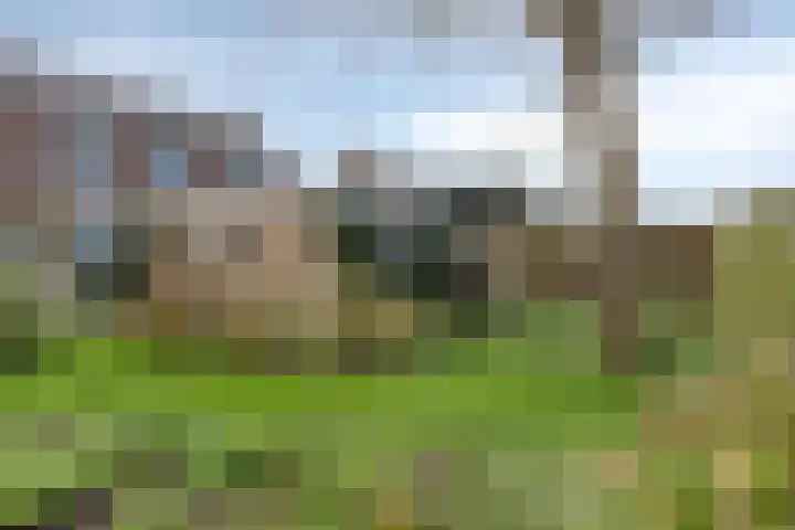 Westerweg 14 Akersloot thumbnail 28