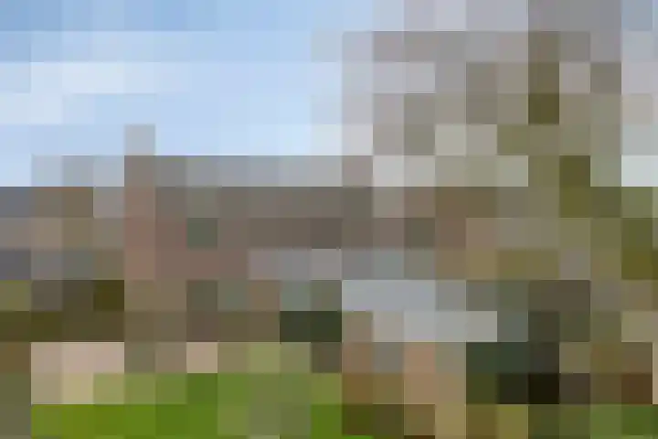 Westerweg 14 Akersloot thumbnail 33