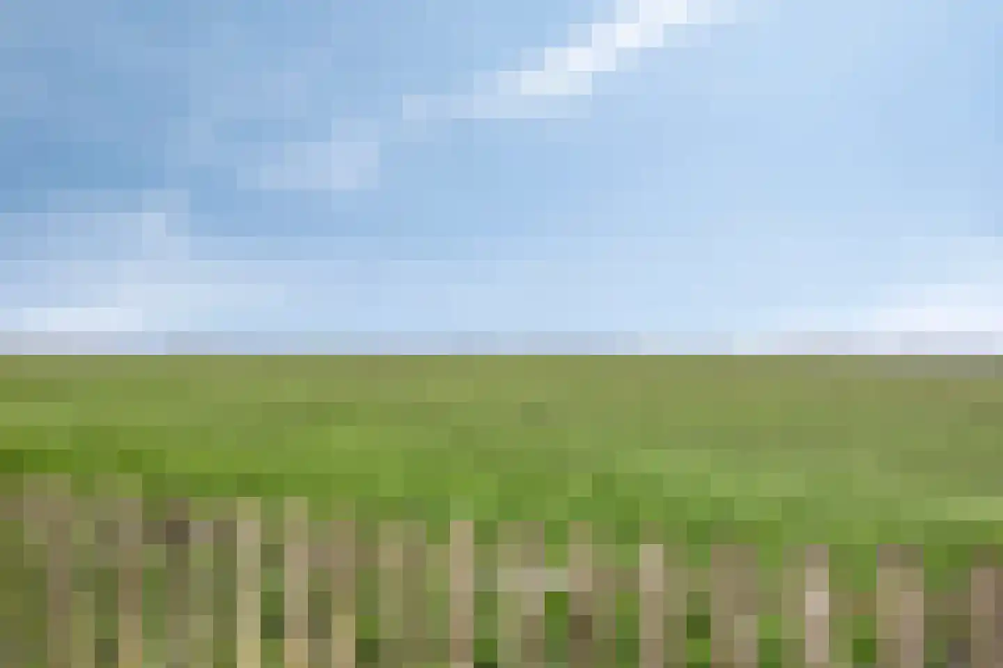 Westerweg 14 Akersloot thumbnail 4