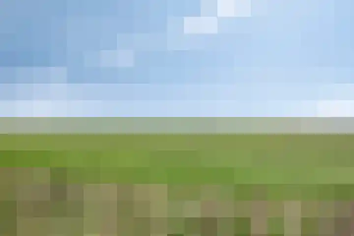 Westerweg 14 Akersloot thumbnail 4