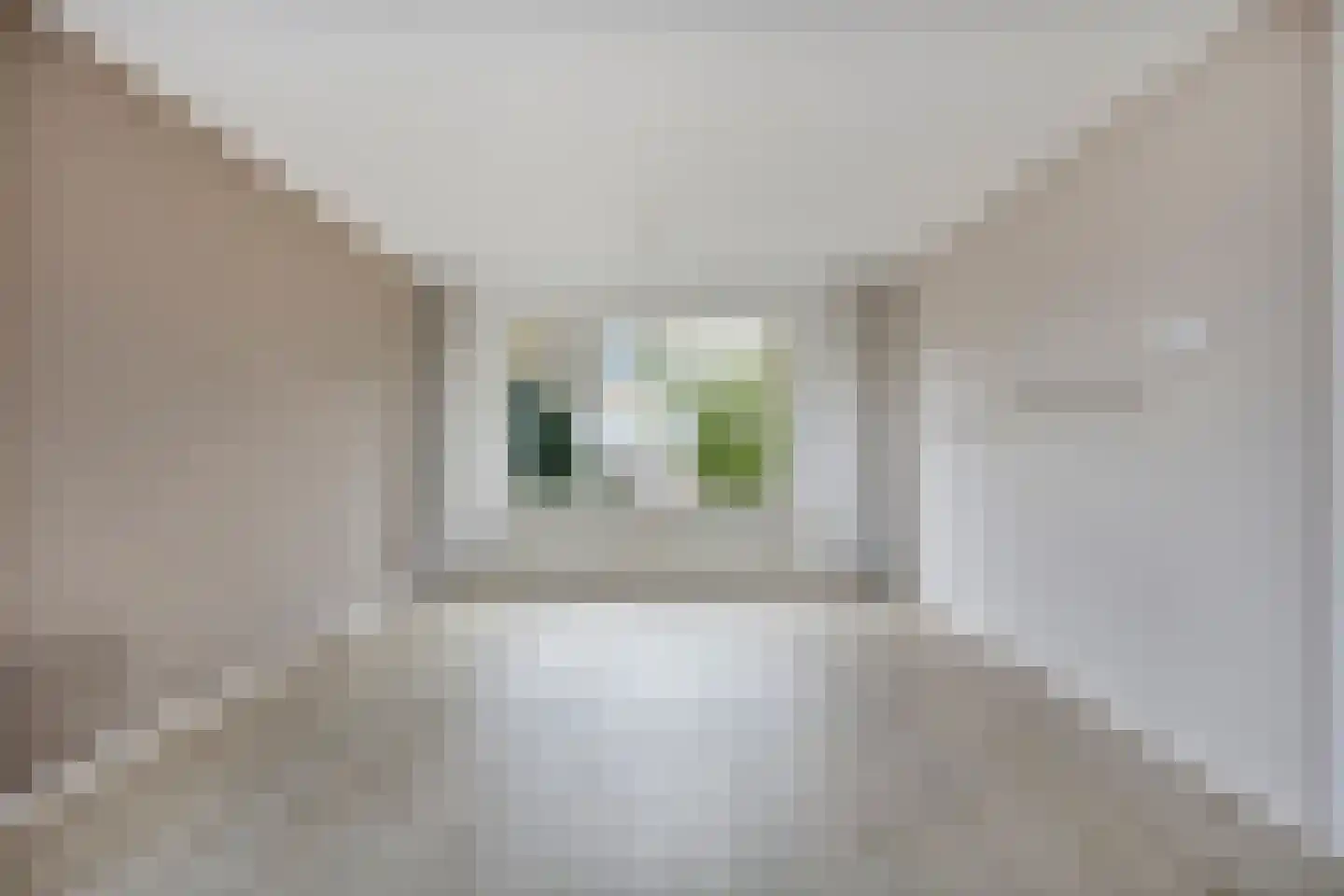 Westerweg 14 Akersloot thumbnail 6