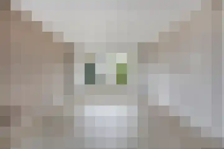 Westerweg 14 Akersloot thumbnail 6