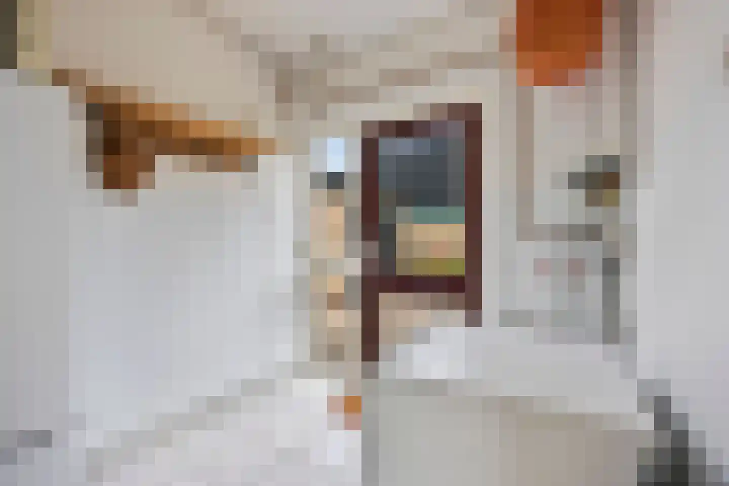 Westerweg 14 Nieuwe Niedorp thumbnail 10
