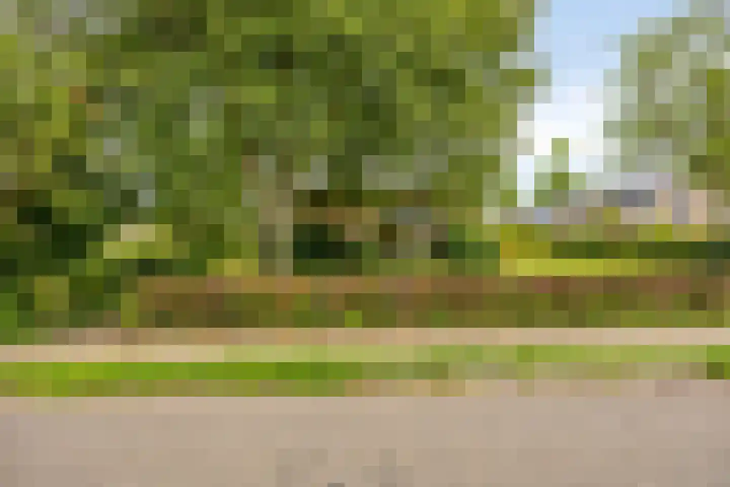 Westerweg 14 Nieuwe Niedorp thumbnail 14