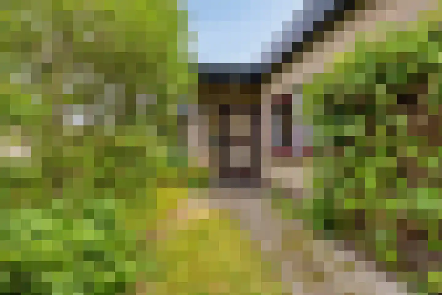 Westerweg 14 Nieuwe Niedorp thumbnail 16