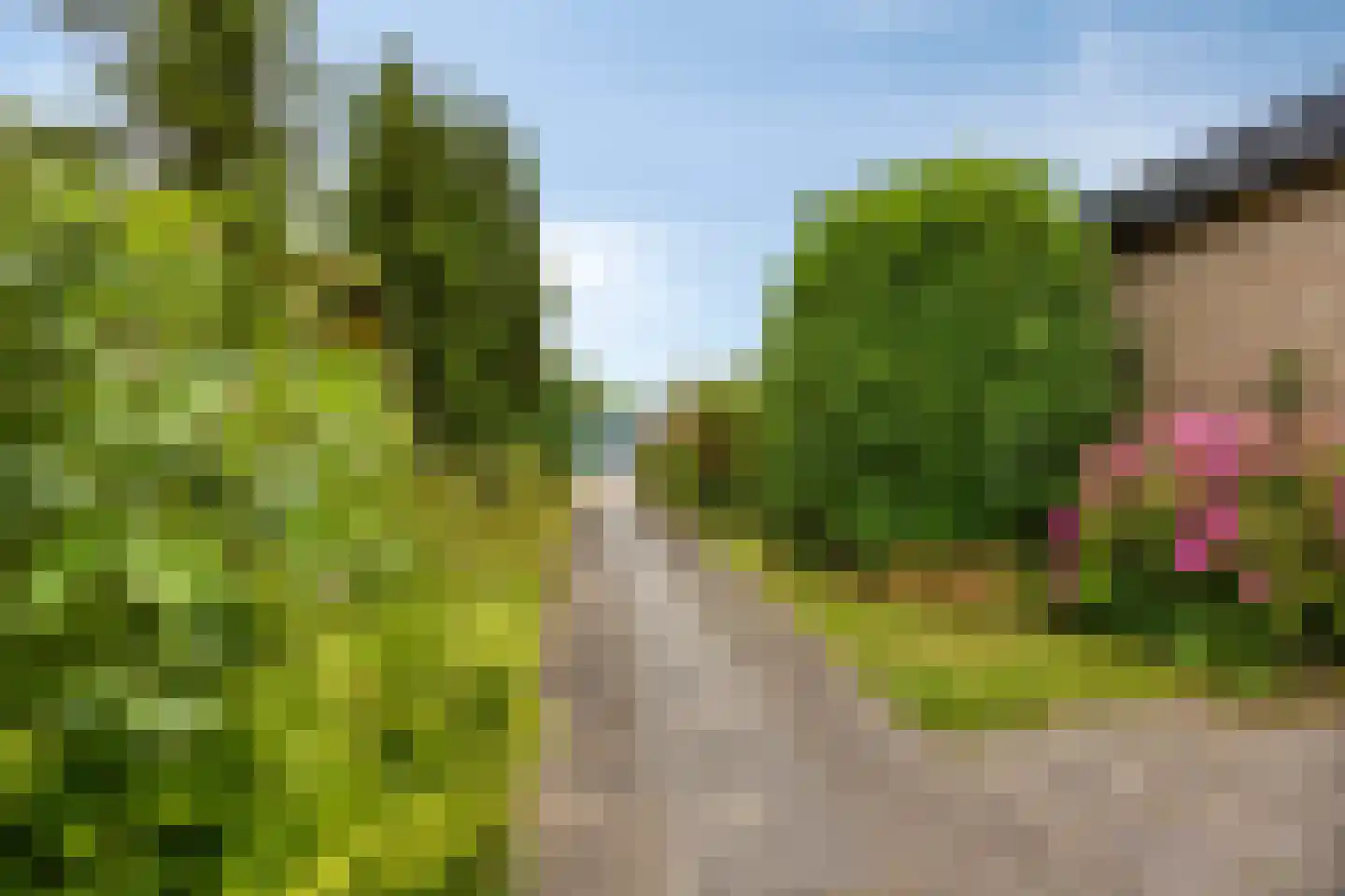 Westerweg 14 Nieuwe Niedorp thumbnail 17