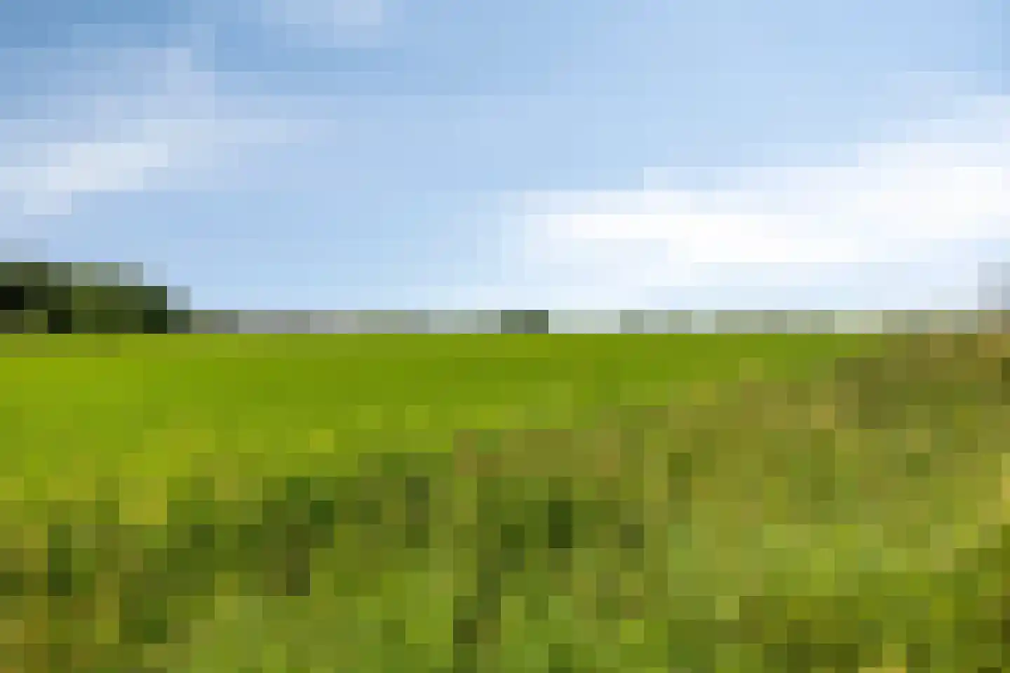 Westerweg 14 Nieuwe Niedorp thumbnail 20