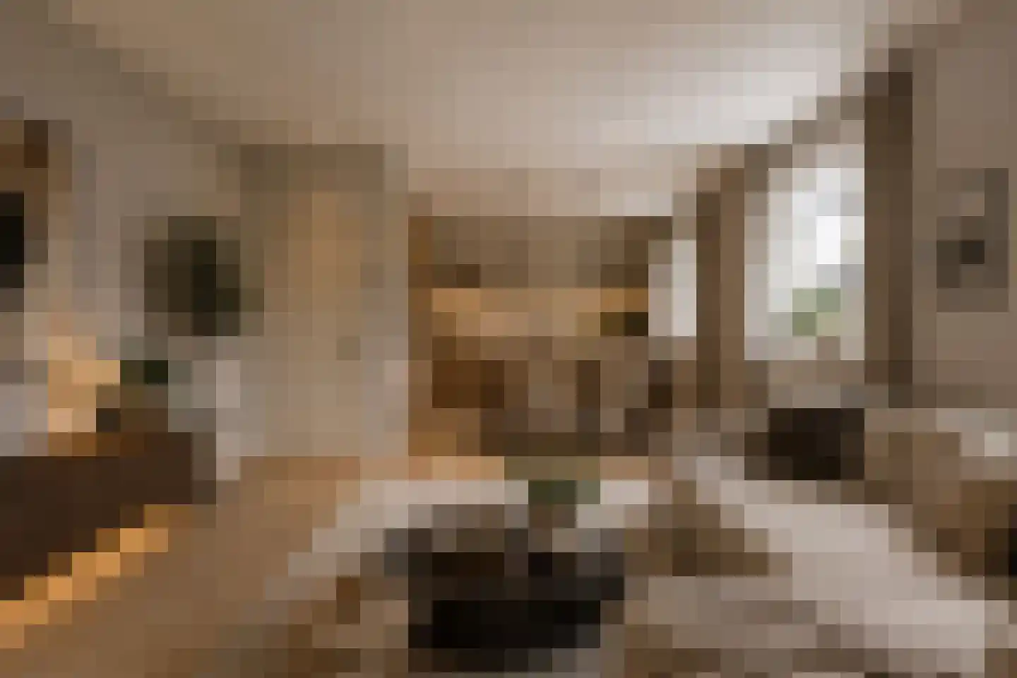 Westerweg 14 Nieuwe Niedorp thumbnail 5