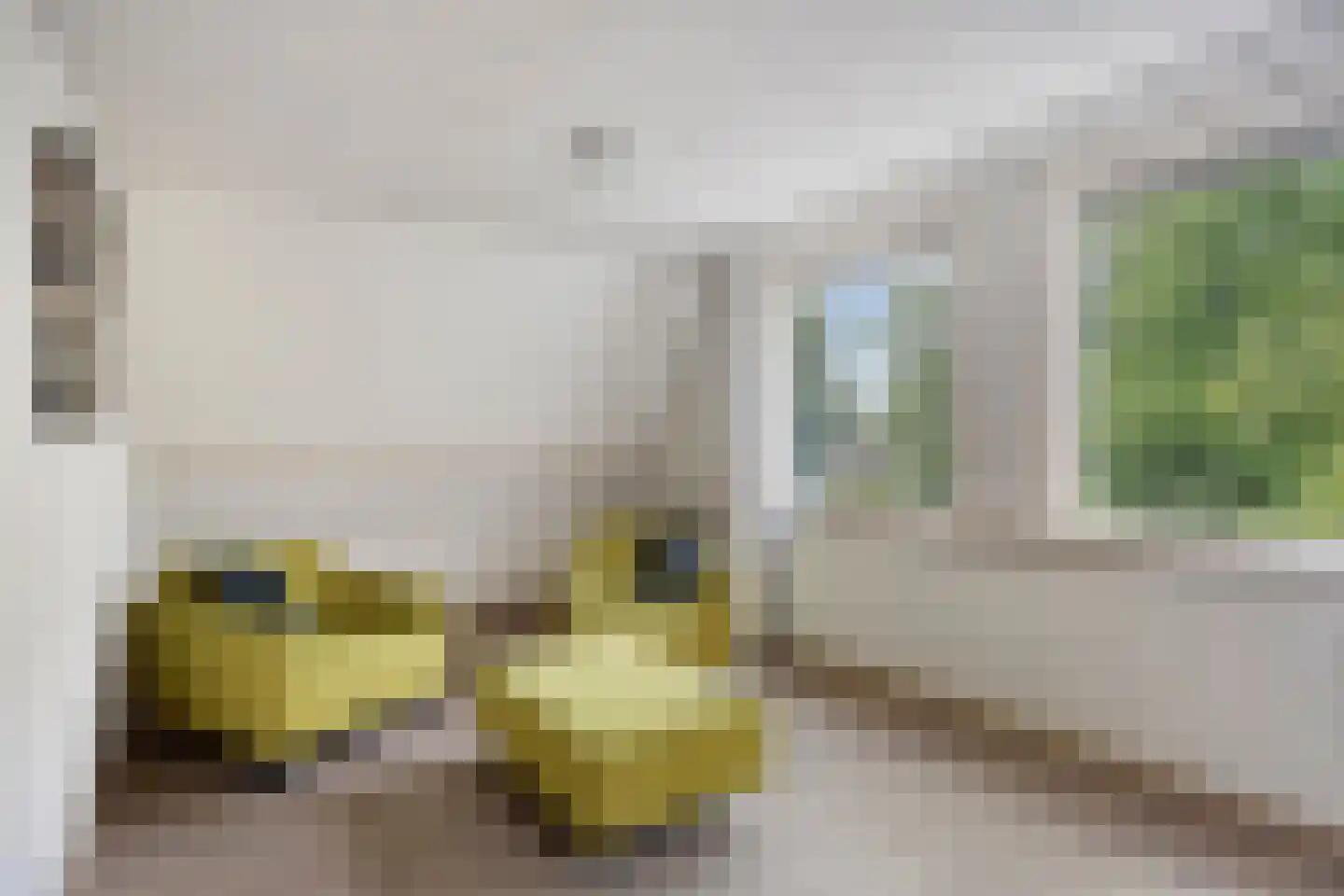Westerweg 158 Heiloo thumbnail 23