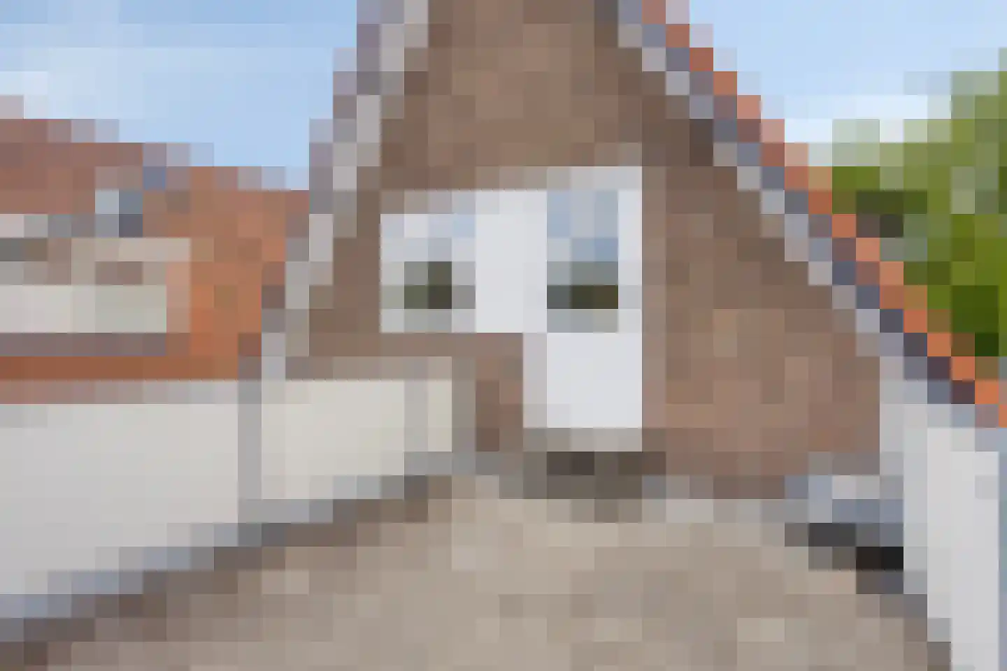 Westerweg 158 Heiloo thumbnail 29