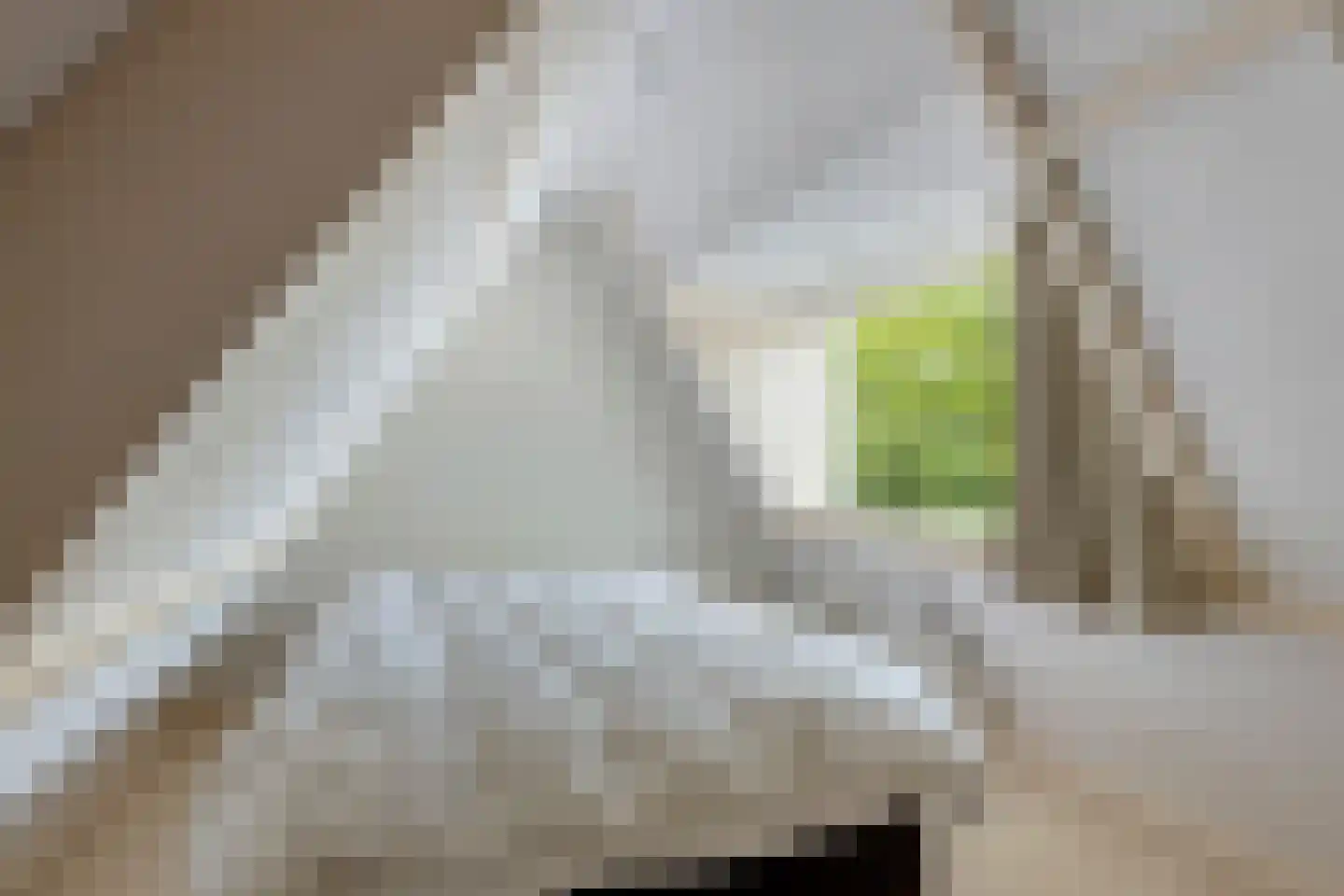 Westerweg 158 Heiloo thumbnail 34