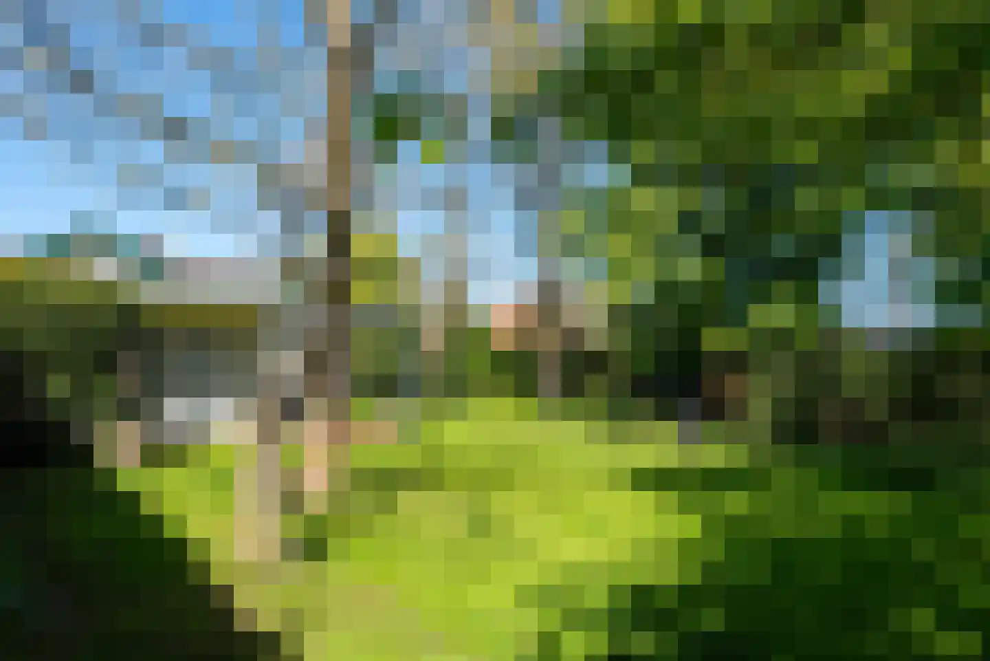 Westerweg 182 Heiloo thumbnail 36