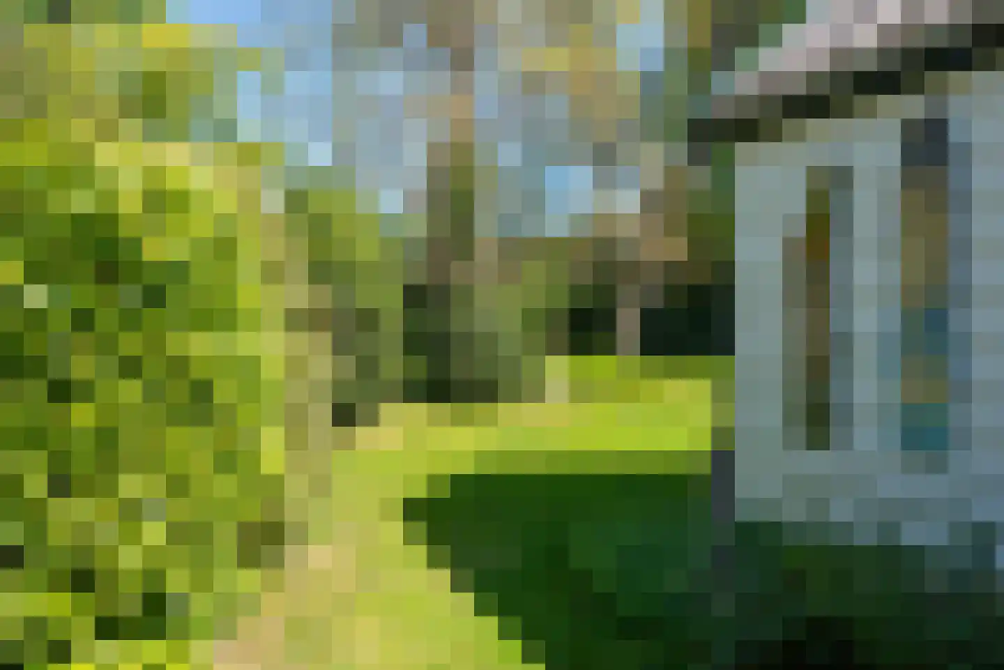Westerweg 182 Heiloo thumbnail 37