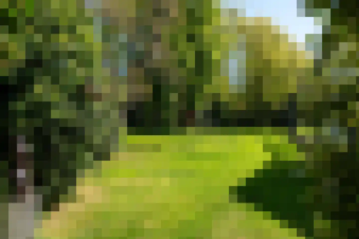Westerweg 182 Heiloo thumbnail 41