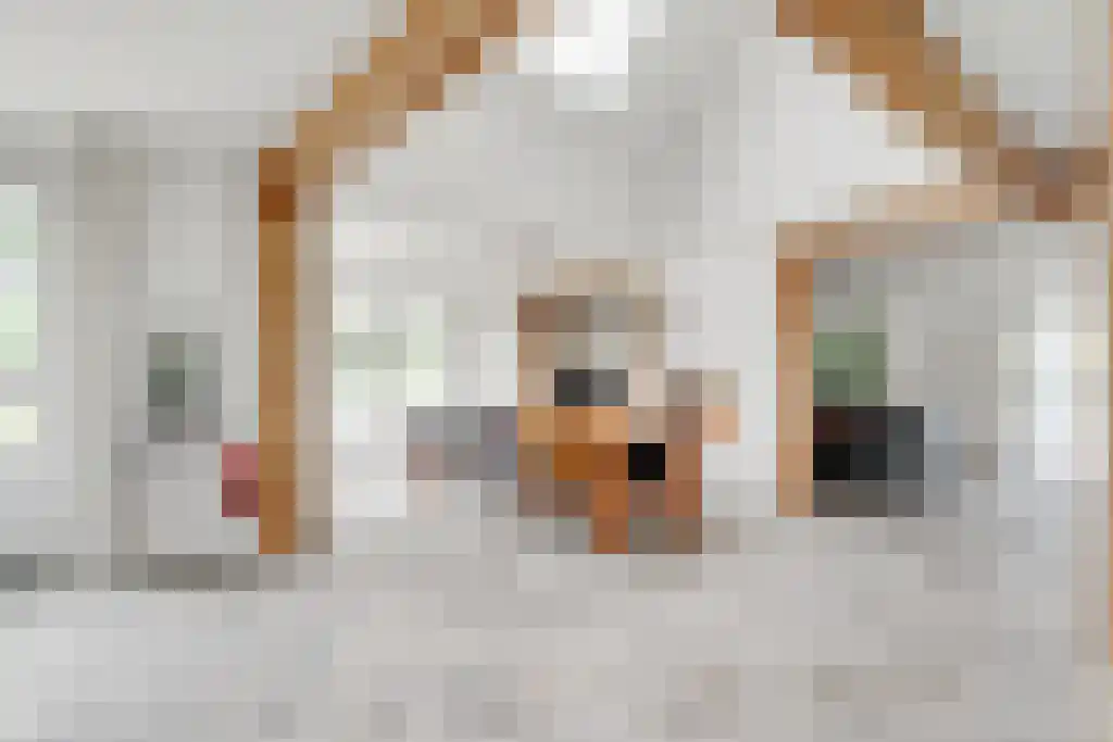 Westerweg 23 Ouddorp thumbnail 13