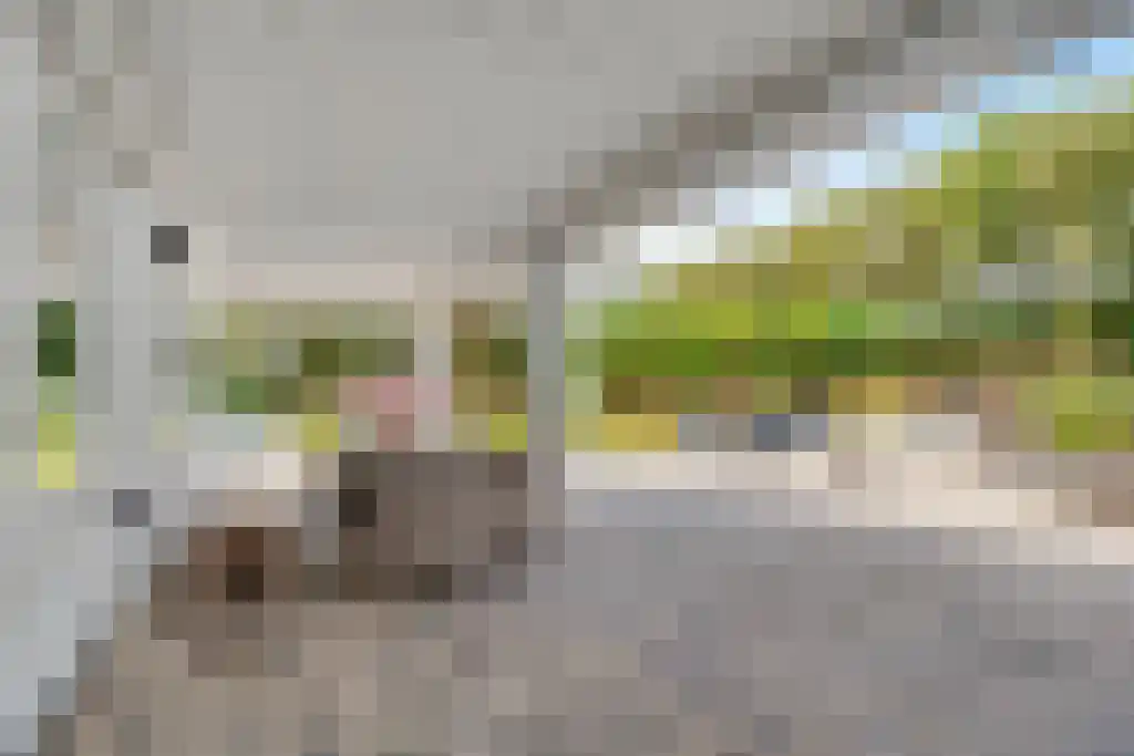Westerweg 23 Ouddorp thumbnail 50