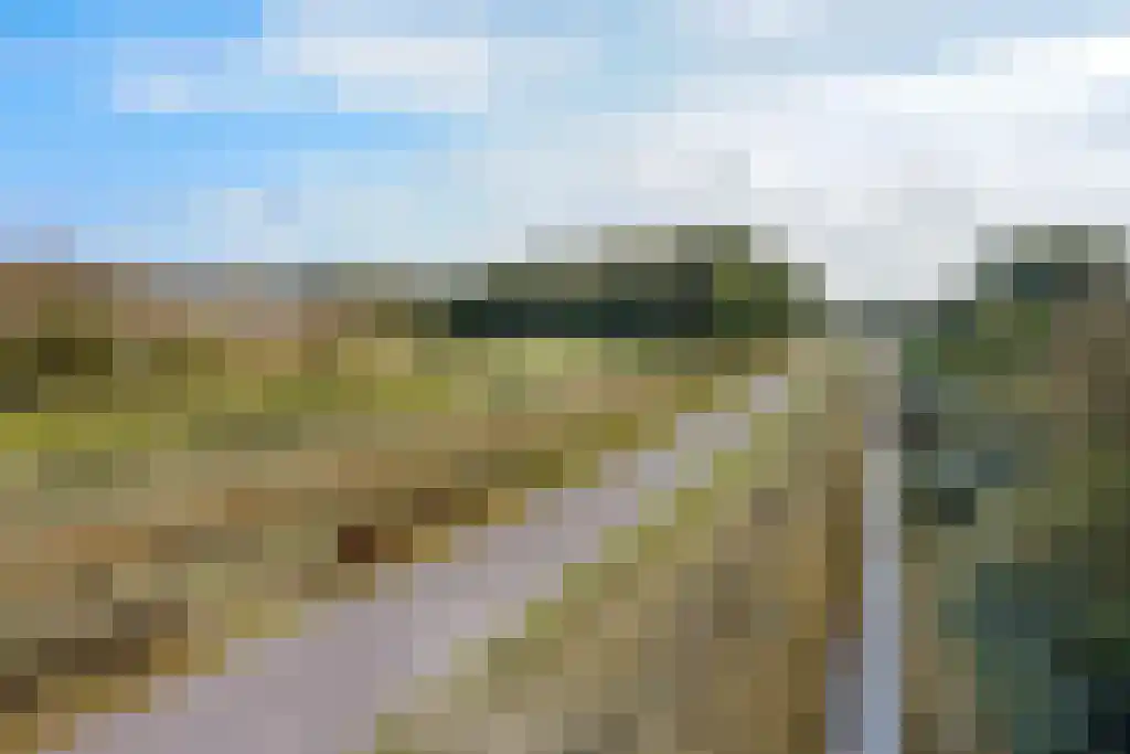Westerweg 23 Ouddorp thumbnail 70