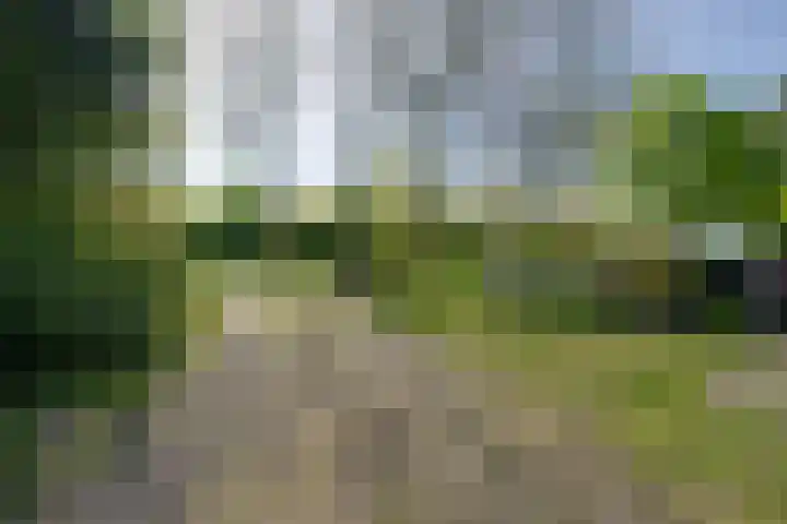 Westerweg 23 Purmerend thumbnail 12