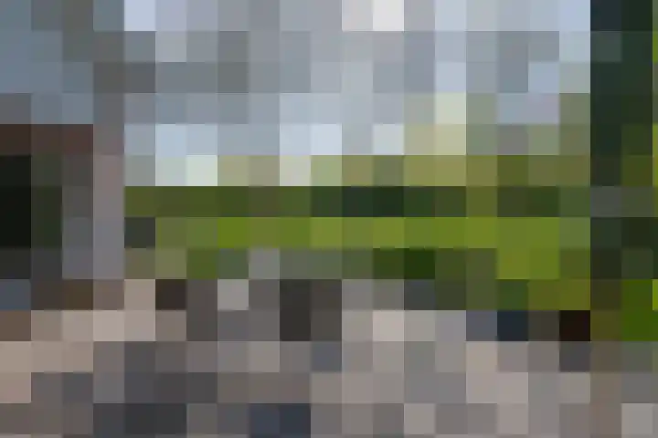 Westerweg 23 Purmerend thumbnail 43