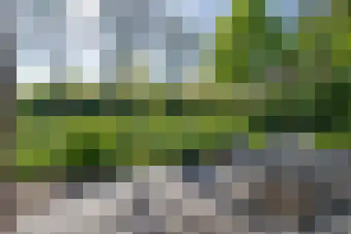 Westerweg 23 Purmerend thumbnail 44