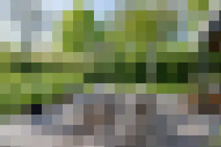 Westerweg 23 Purmerend thumbnail 45