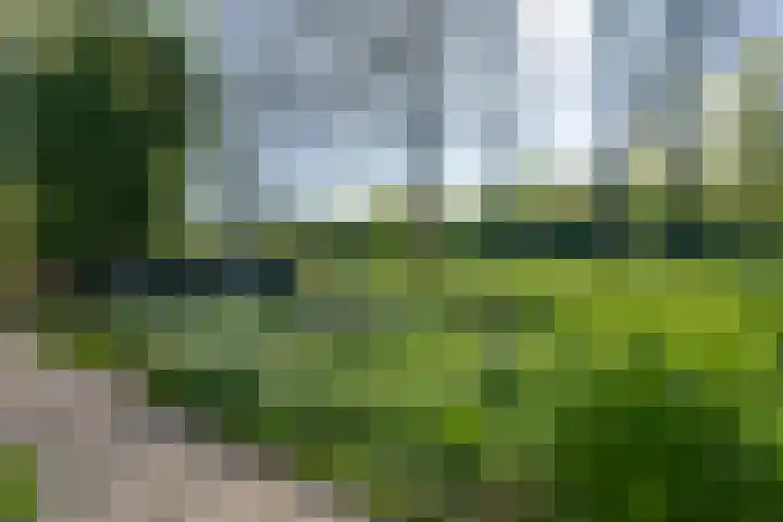 Westerweg 23 Purmerend thumbnail 46