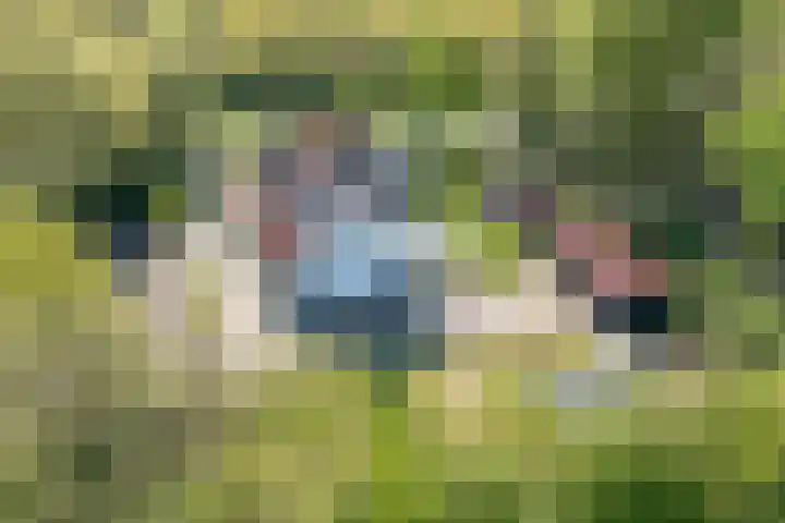 Westerweg 23 Purmerend thumbnail 5