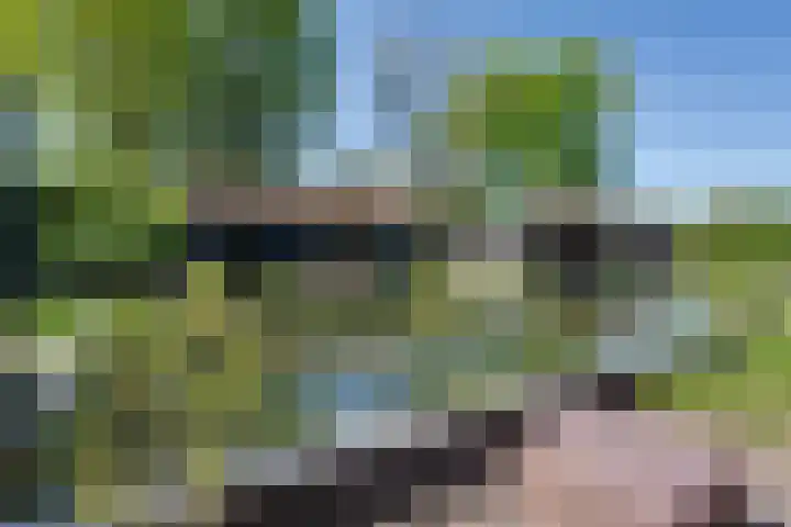 Westerweg 23 Purmerend thumbnail 64