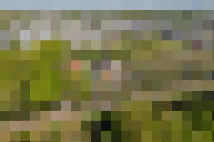 Westerweg 23 Purmerend thumbnail 7
