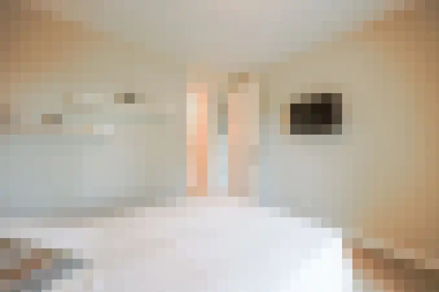 Westerweg 232 Heiloo thumbnail 8