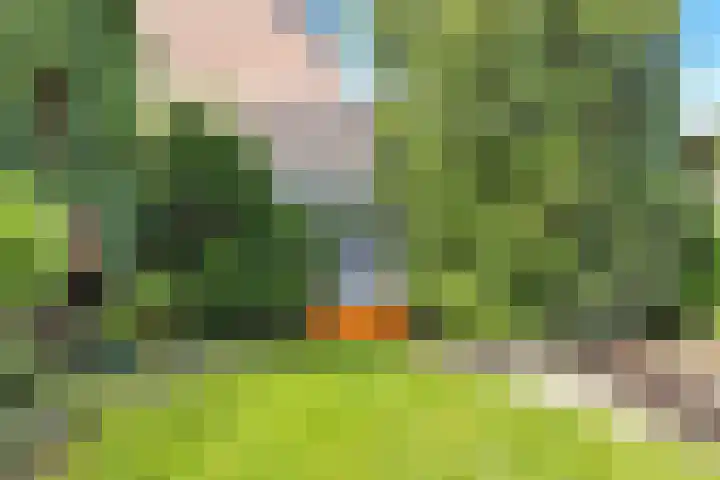 Westerweg 236 Heiloo thumbnail 31