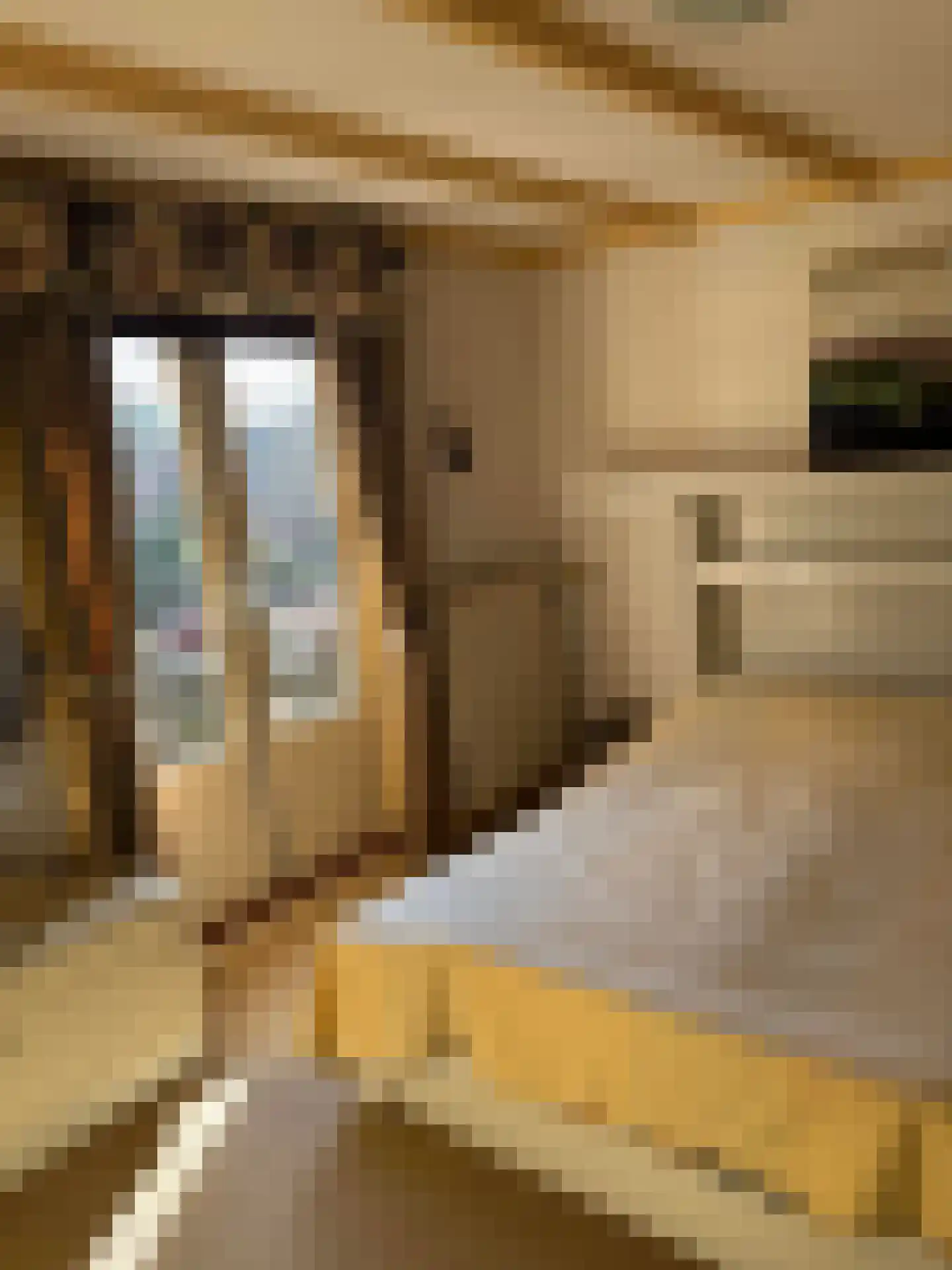 Westerweg 269 Heiloo thumbnail 32