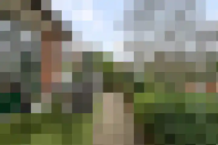 Westerweg 269 Heiloo thumbnail 43