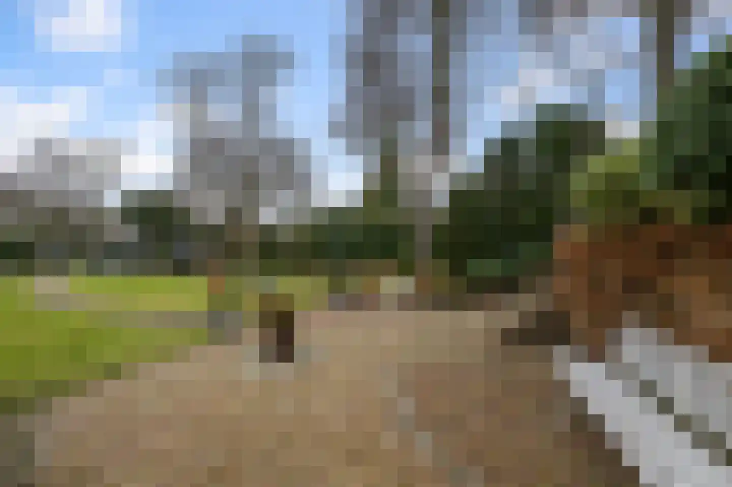 Westerweg 269 Heiloo thumbnail 48