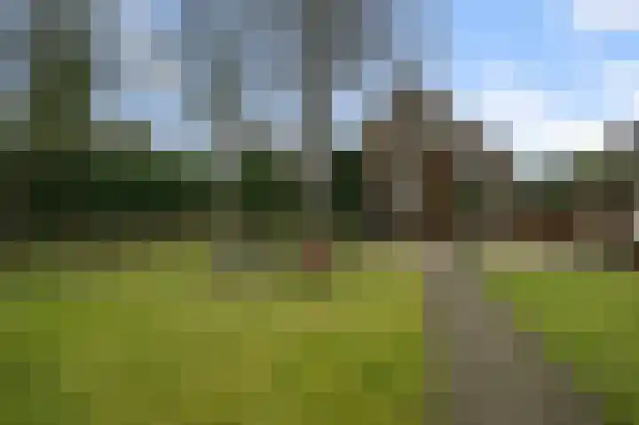Westerweg 269 Heiloo thumbnail 6
