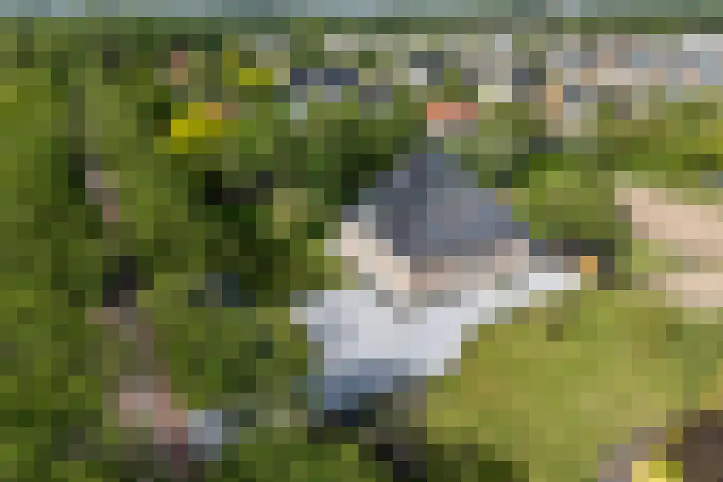 Westerweg 27 A Purmerend thumbnail 5