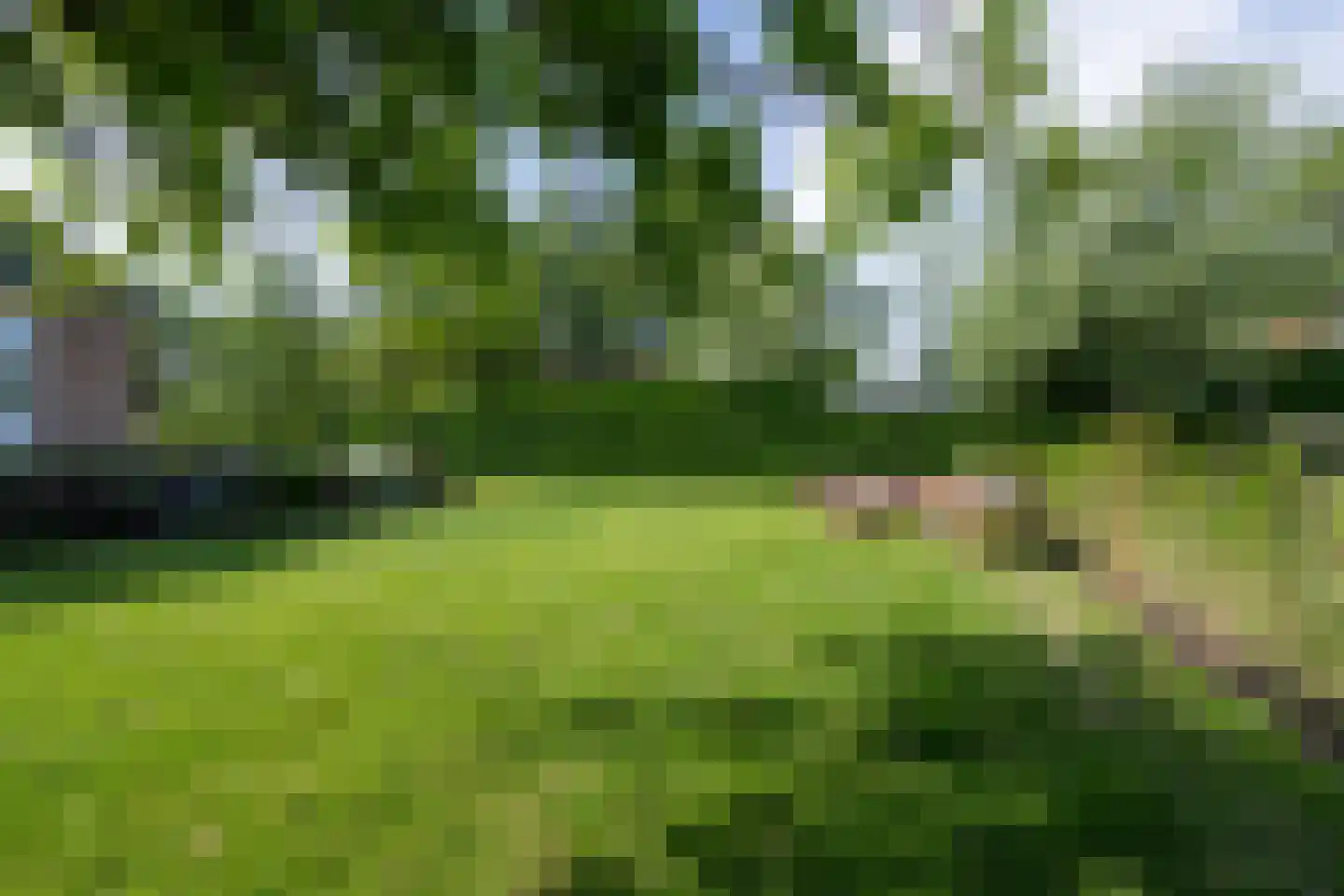 Westerweg 27 A Purmerend thumbnail 7